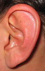 Bolest v uchu